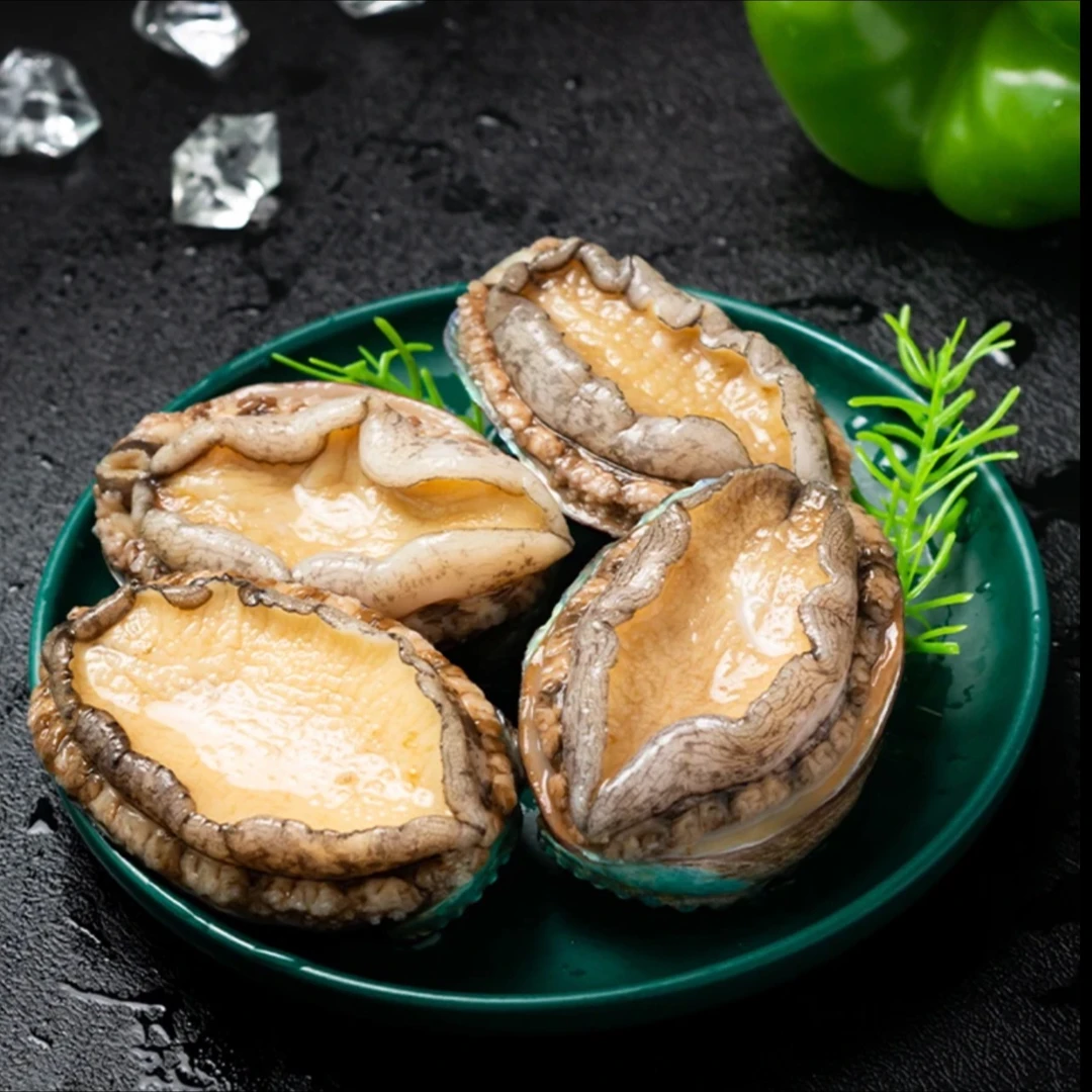 10个皇金鲍鱼 7公分左右/个 深海鲍鱼 新鲜速冻