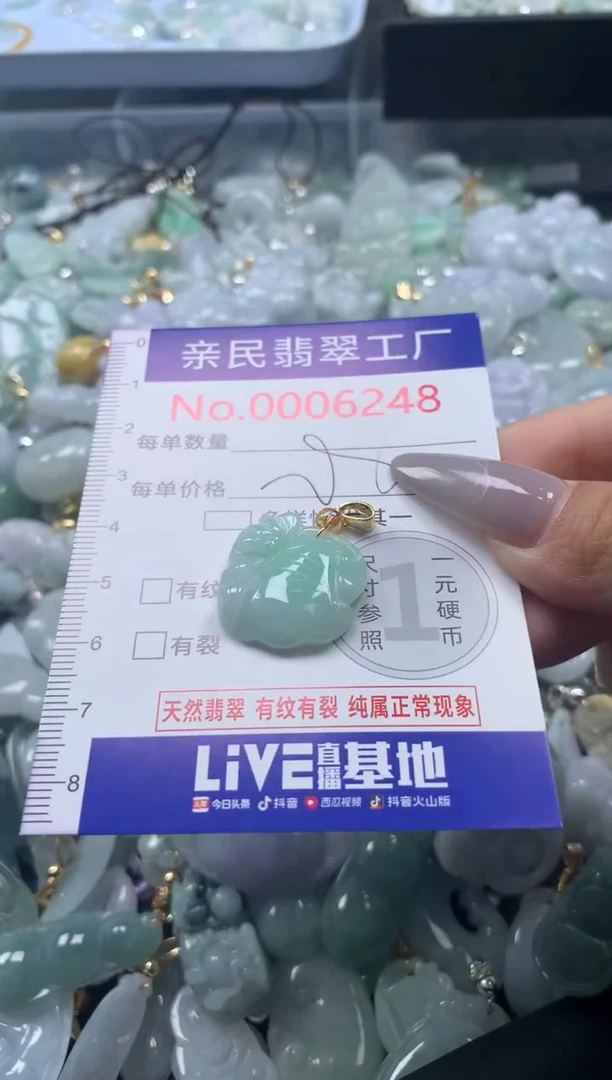 颈饰未镶嵌翡翠6248