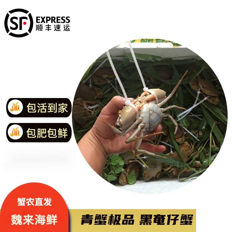【魏来海鲜】-货发出概不退款腌仔豆鲟黄油青蟹黄膏蟹