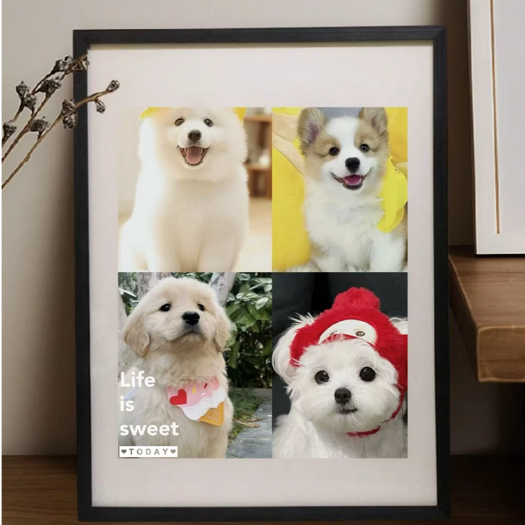 宠物相册记录美好生活