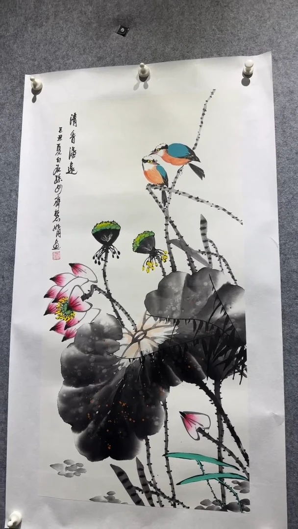 记录贰荷花别样红