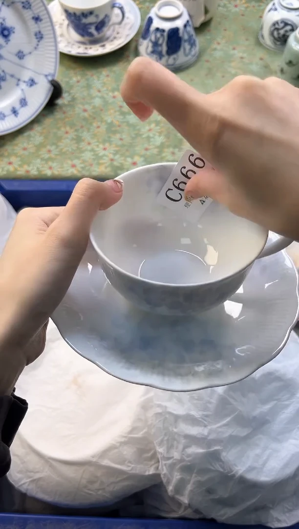 【闪购商品】瓷片          C666