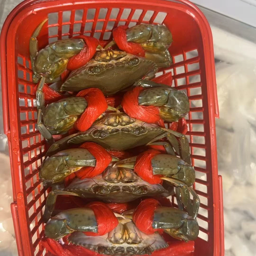 【到店自提】宁德本地秋蟹/青蟹不分公母【4只装每只约2.5两】