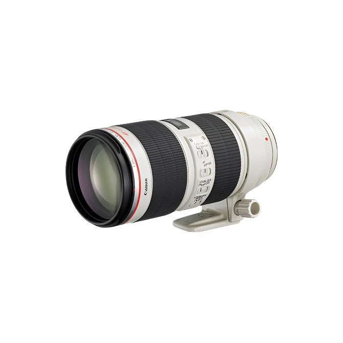 99新 Canon/佳能 24-70/24-105mm全画幅变焦长焦镜头一代二代可选