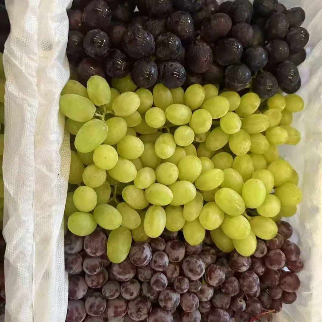 新疆三色葡萄新鲜无籽到货，紫甜无核白玻璃翠关口葡萄