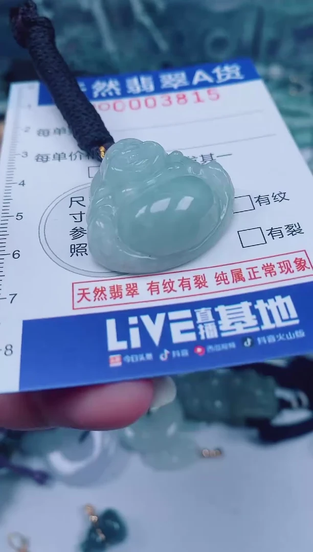 颈饰未镶嵌翡翠00003815