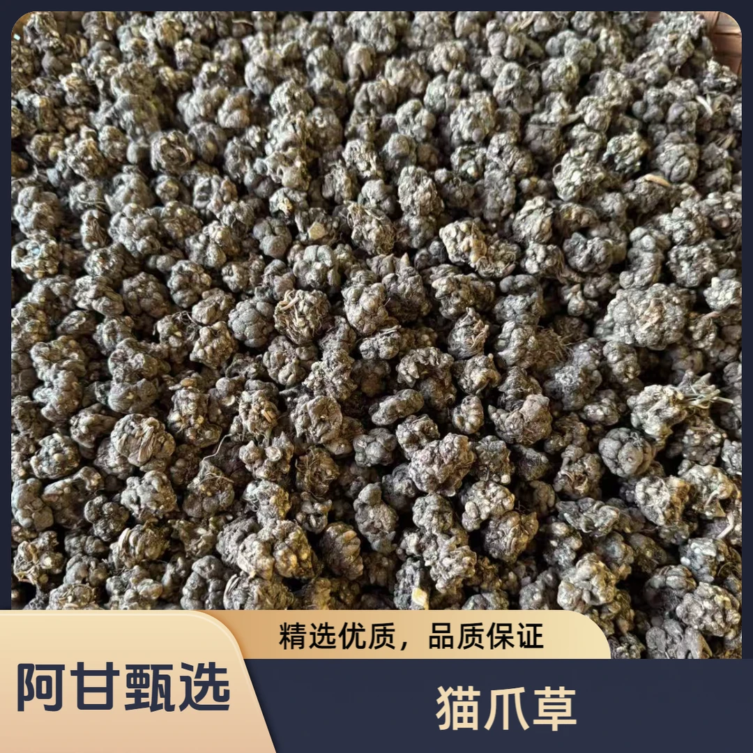 【阿甘甄选】现收土特产 猫爪草 净含量：250g/500g 可搭配枸杞