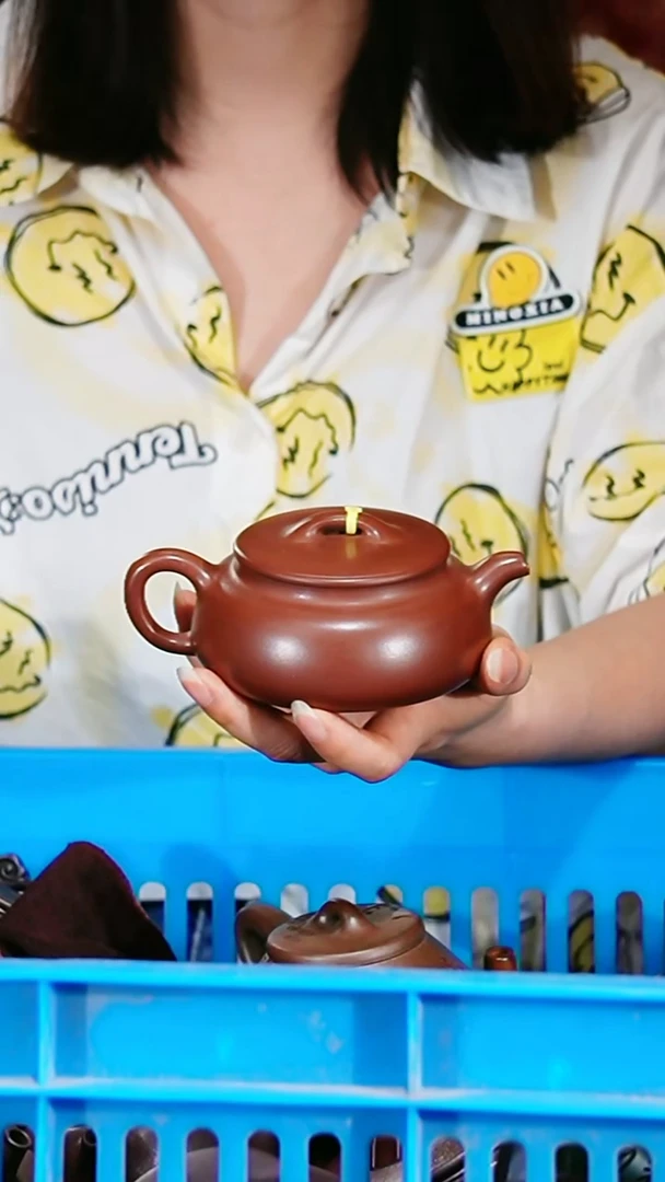 宜兴原矿紫砂壶茶壶180C