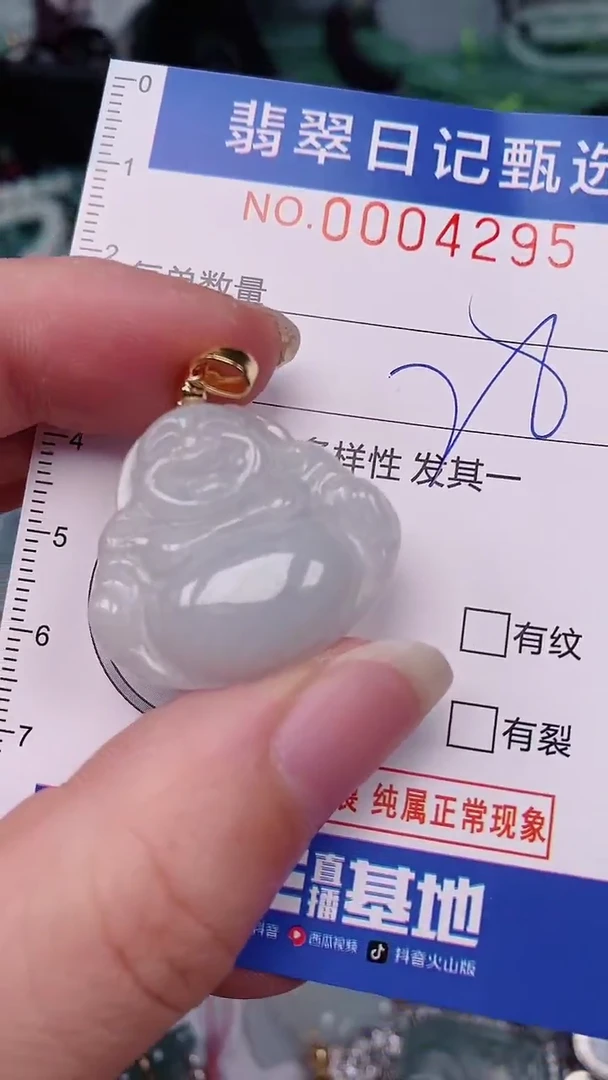 翡翠未镶嵌颈饰00004295