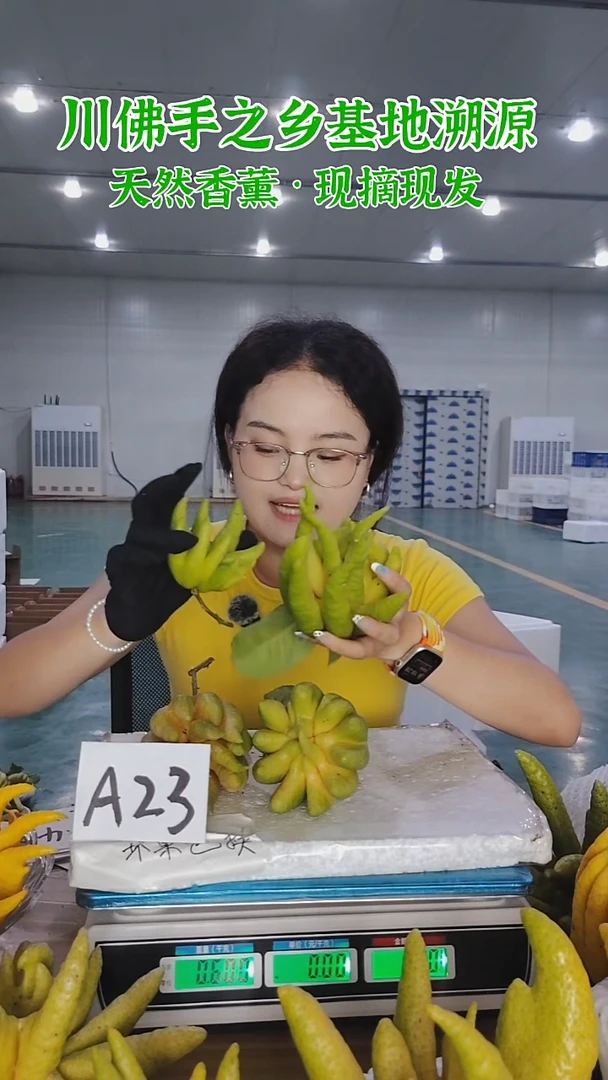柑橘【一物一拍】川佛手柑鲜果A23