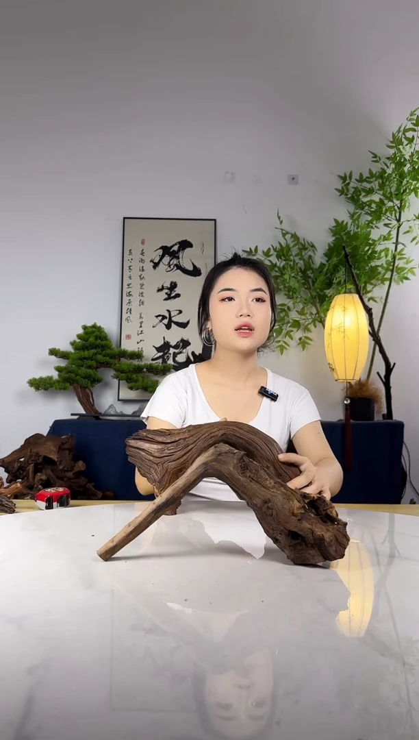 W*拍这个定向编号22