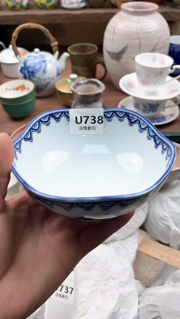 【闪购商品】瓷片738