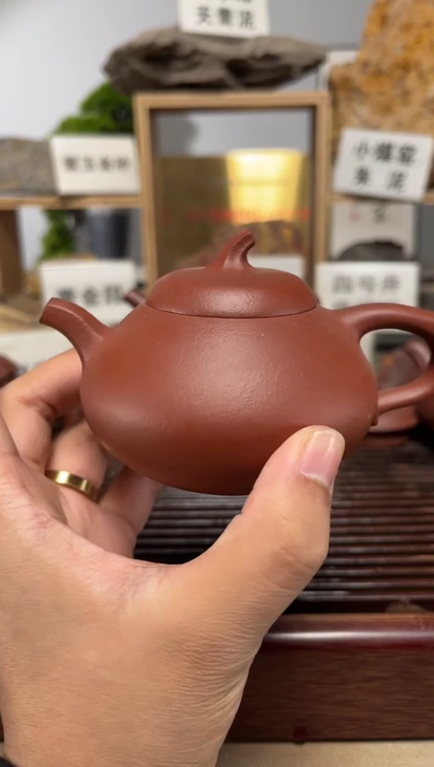 茶壶紫砂红皮龙茄瓜