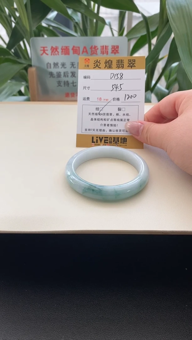 未镶嵌手镯翡翠圈口54.5编码D158