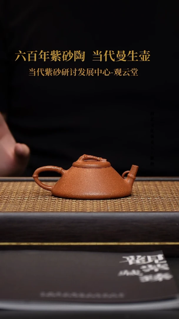 茶壶紫砂宜兴紫砂壶子冶石瓢