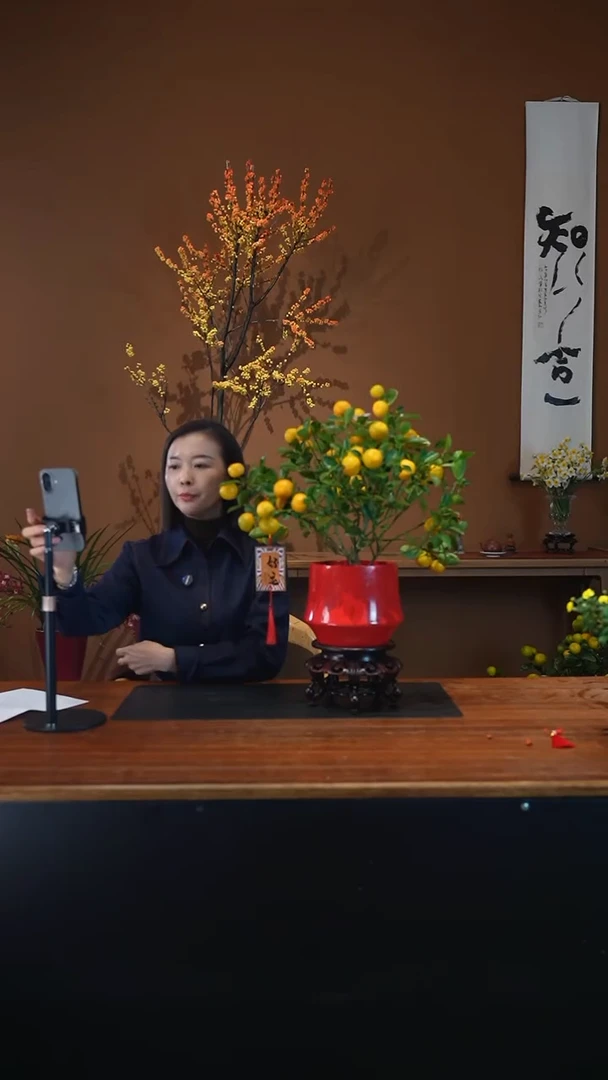 全部花朵小金橘红盆盆景盆景盆景