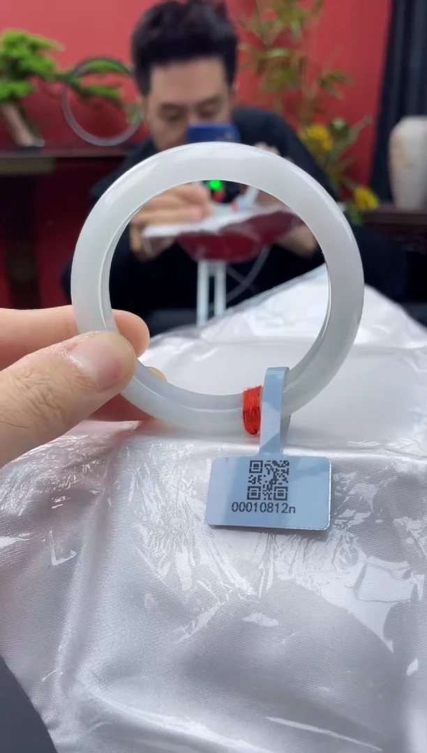 未镶嵌手镯翡翠6