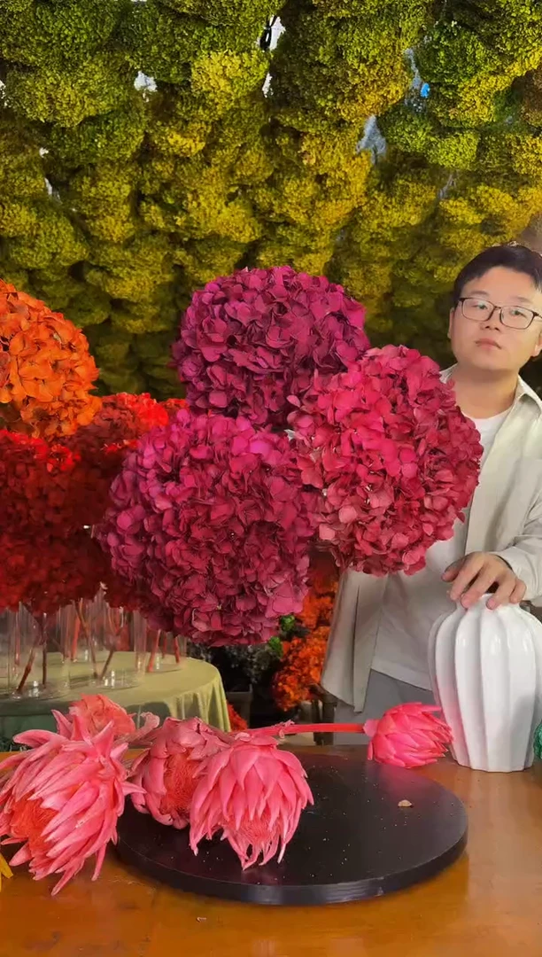 104  山前小麦 · 荷兰进口永生大叶绣球3枝