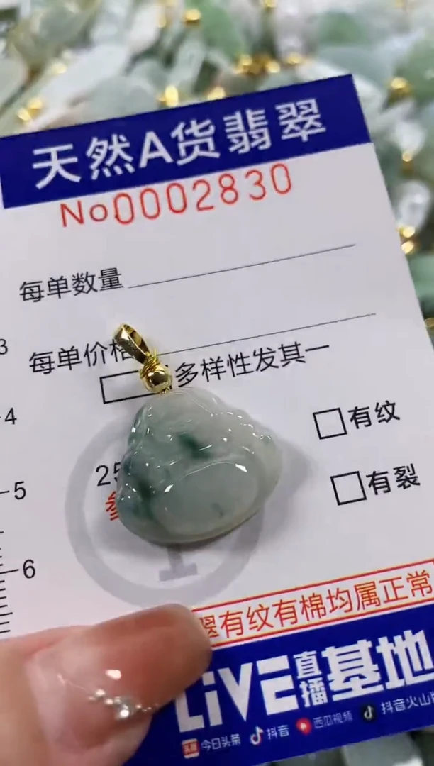 颈饰未镶嵌翡翠天然A货翡翠
