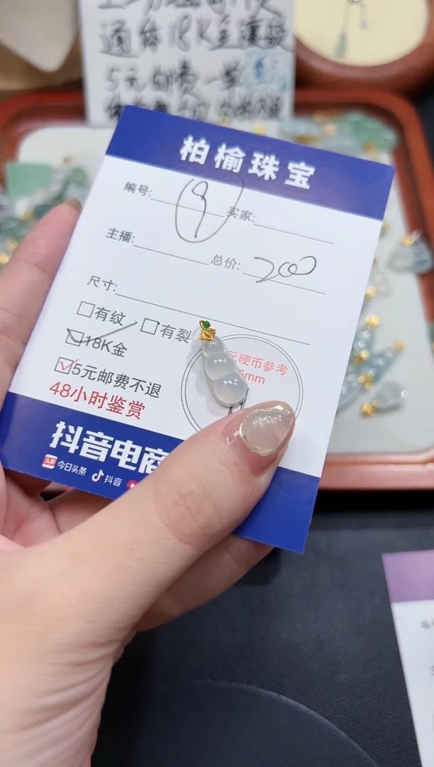 翡翠18K金镶嵌颈饰9豆子