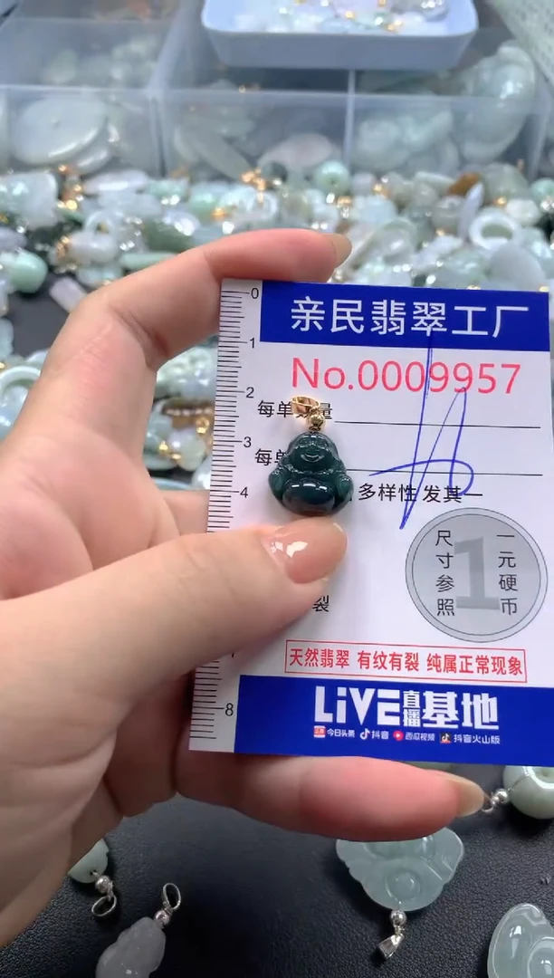 颈饰未镶嵌翡翠9957