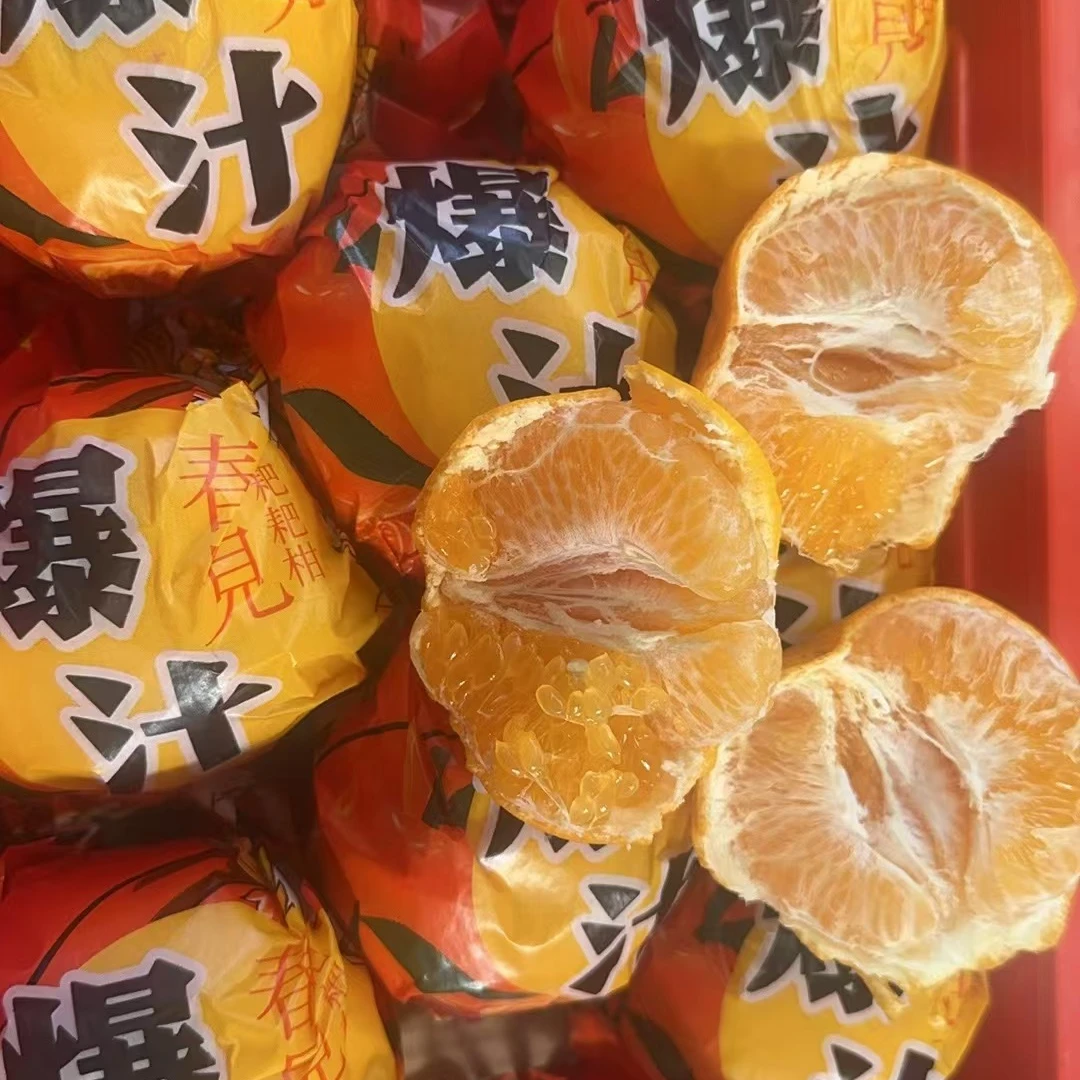 【春见粑粑柑箱装】箱装