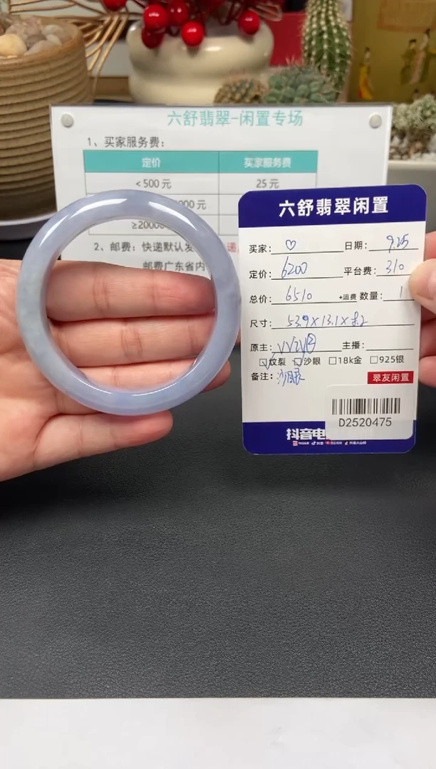 未镶嵌手镯翡翠?D2520475