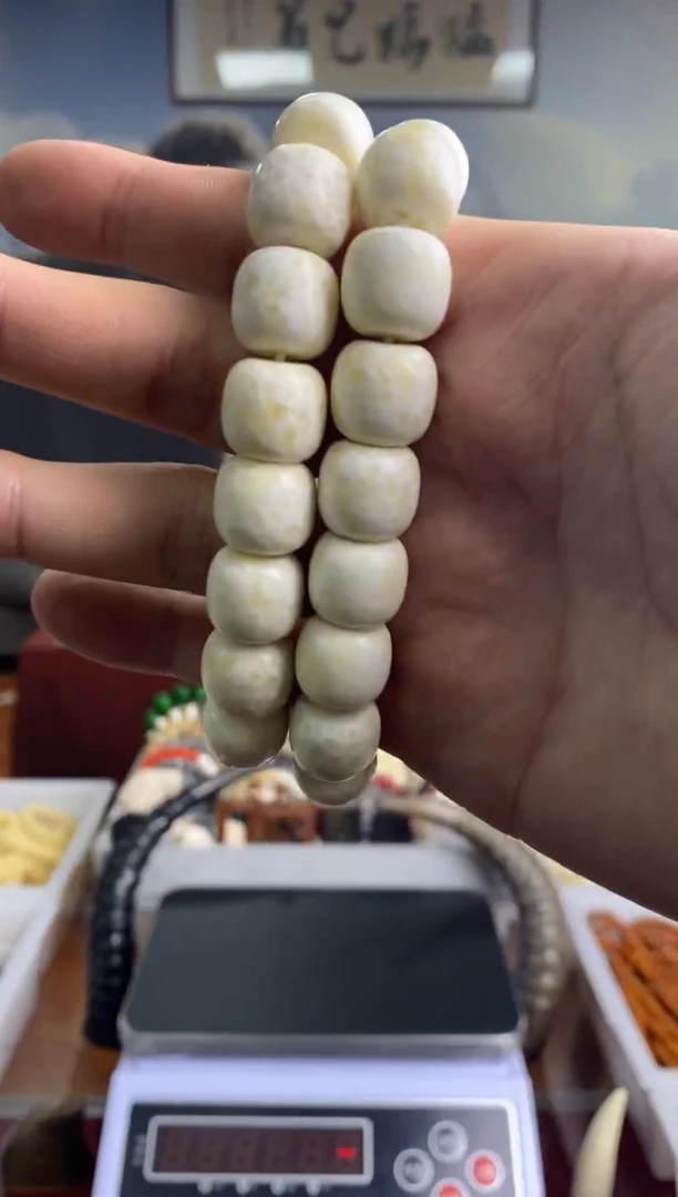 猛犸海胖满脑14*13单圈