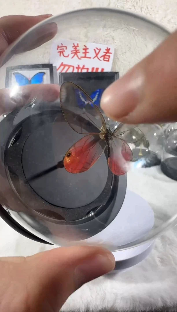 木玫瑰晶眼蝶瑕疵水晶球