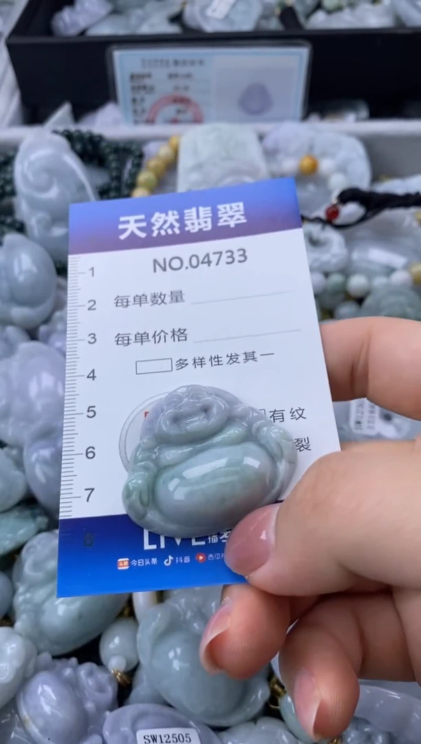 翡翠未镶嵌颈饰缅甸A货翡翠04733