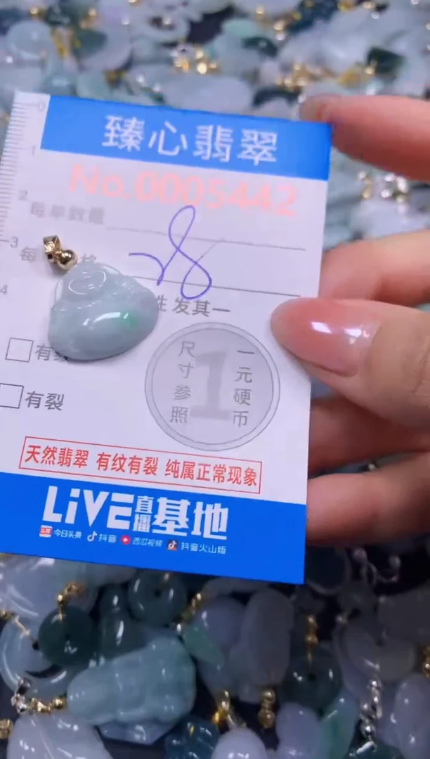 吊坠(不含链)未镶嵌翡翠5442