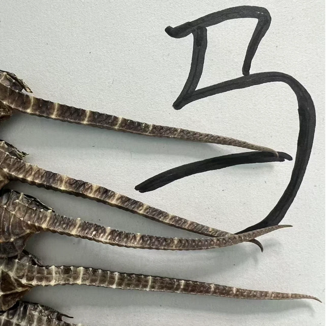 威海银泽马全规格塑料包装类型