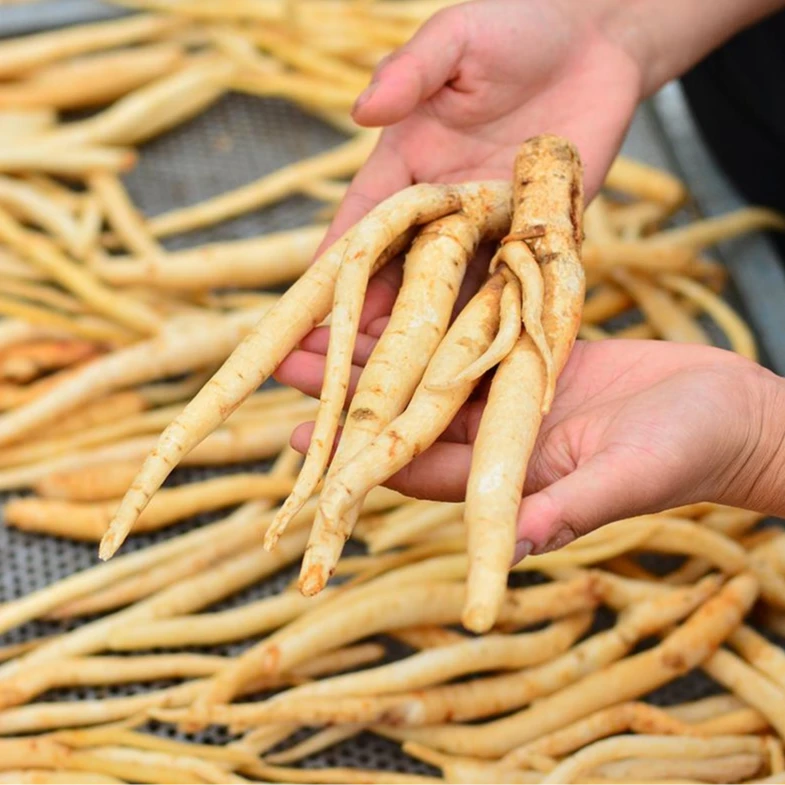 农家种植【沙参】未熏硫    自然晒干  包邮