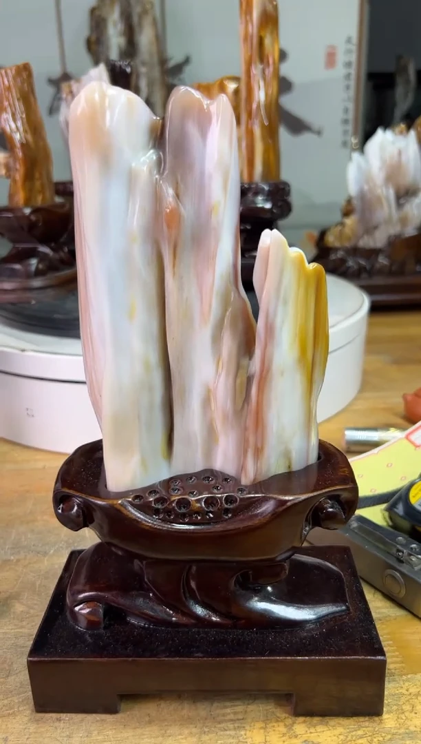 未镶嵌珠宝奇石硅化玉12