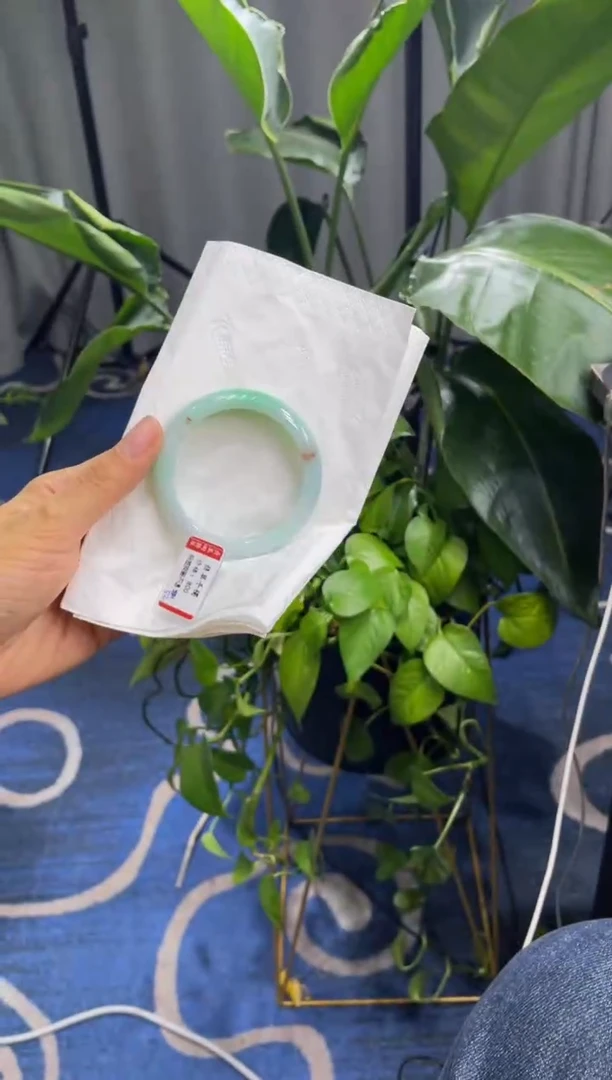 未镶嵌手镯翡翠6424