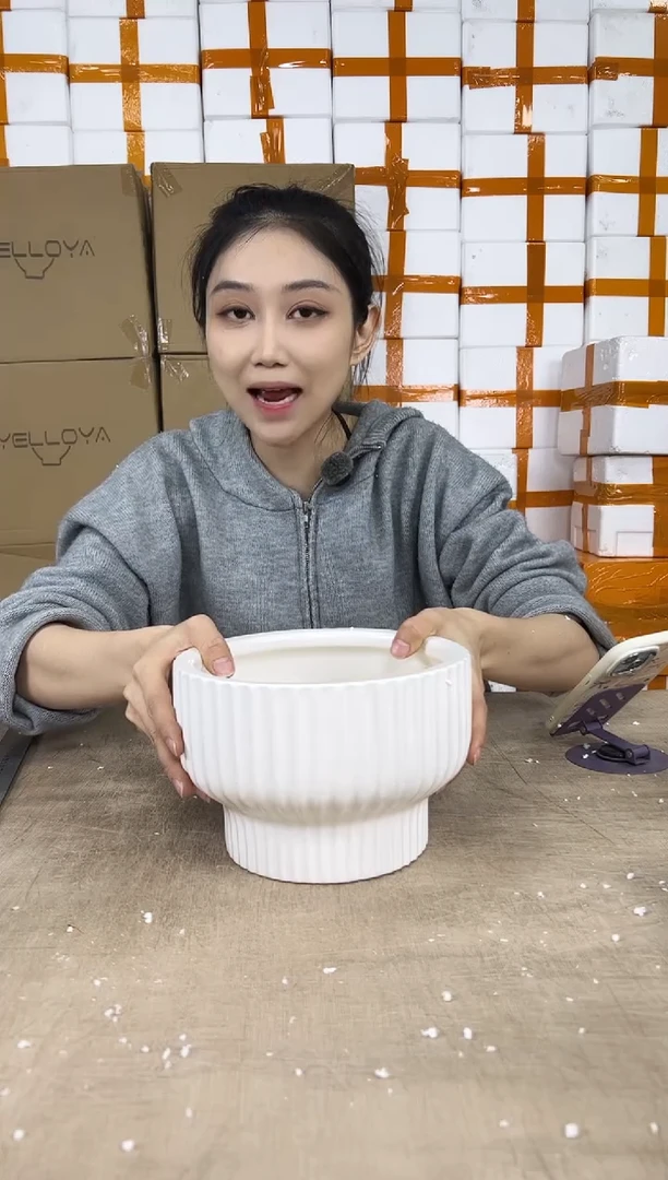 火锅条纹白色中号21x14