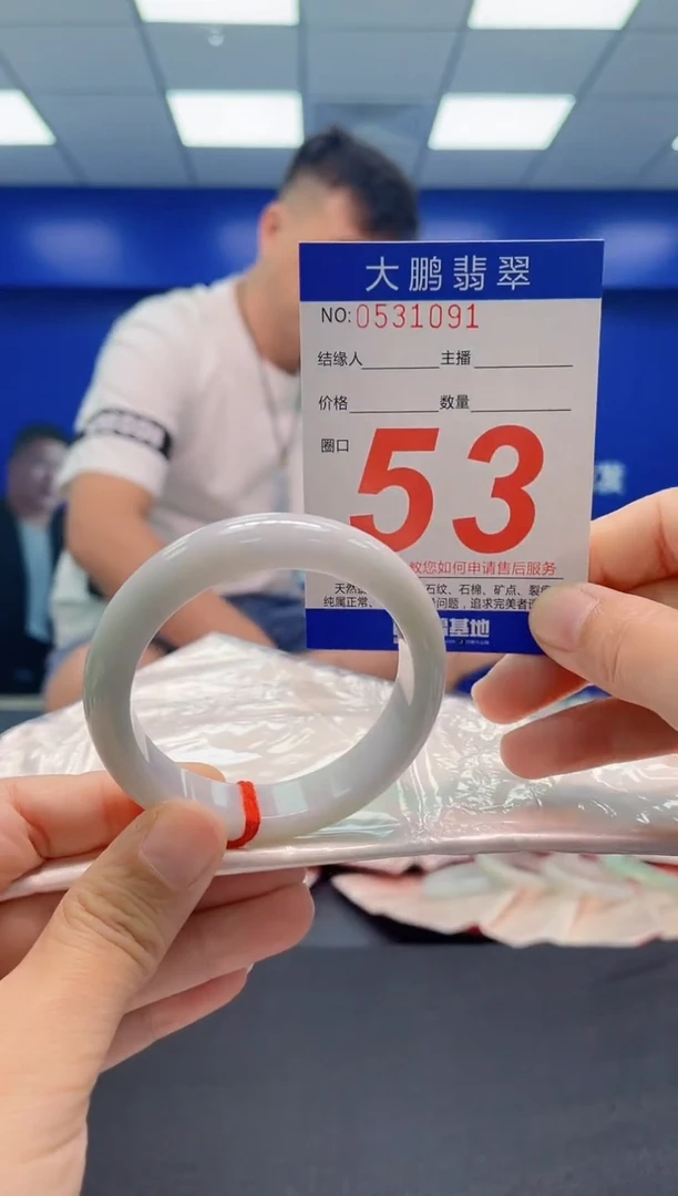 未镶嵌手镯翡翠AAAAAAAAA