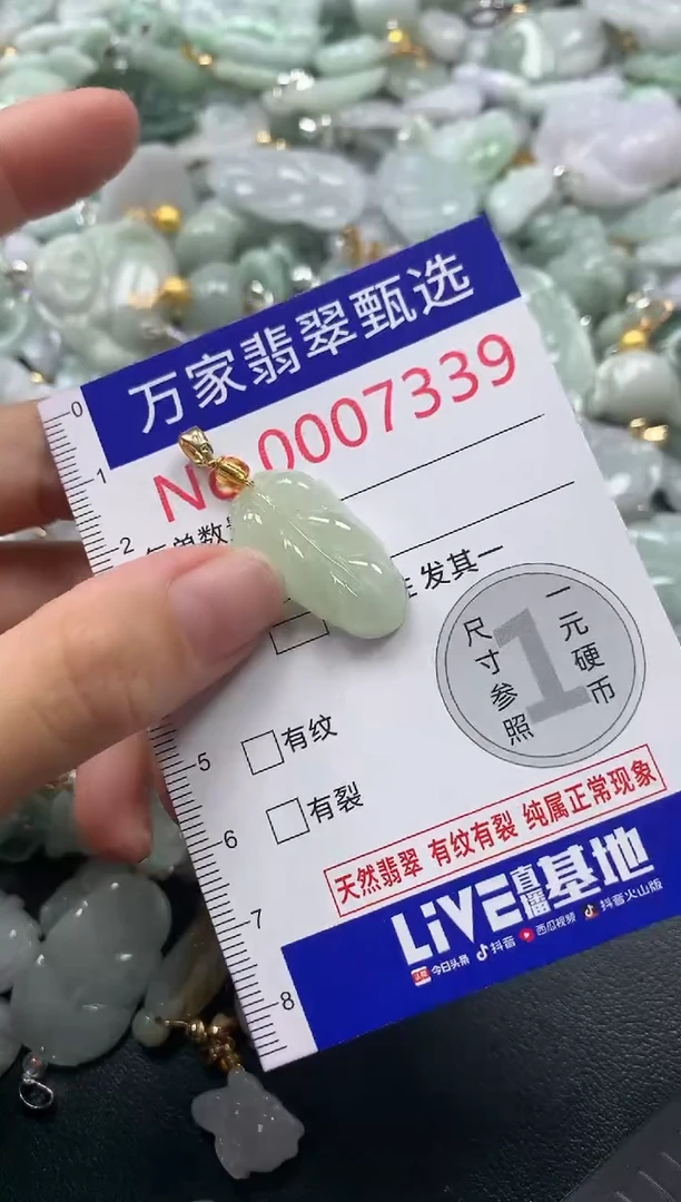 吊坠(不含链)未镶嵌翡翠7339