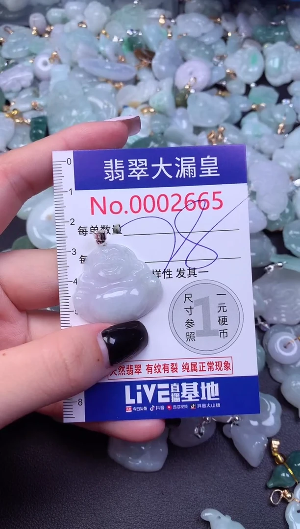 颈饰未镶嵌翡翠2665