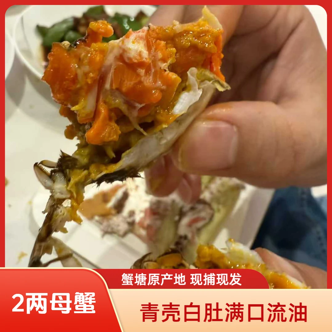 【活蟹】大闸蟹母蟹2两6只10只鲜活现货