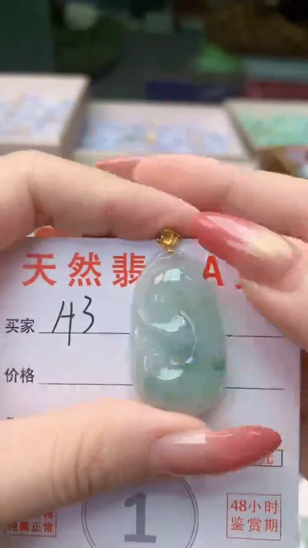 颈饰未镶嵌翡翠天然A货翡翠挂件