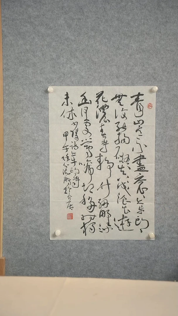 国画沈老师 多字书法二尺zx