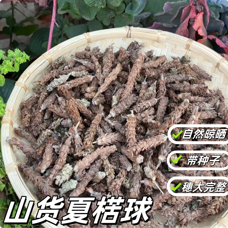 【夏-苦草】  250g起           皂角米*