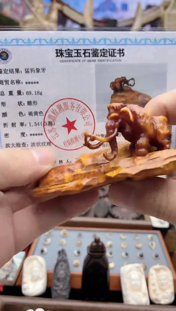 猛犸猛犸++++++89