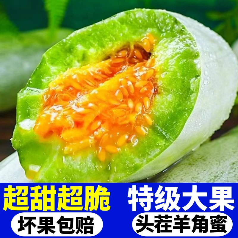 【香甜可口】正宗潍坊羊角蜜甜瓜现摘现发单果起味道香甜脆甜羊角蜜