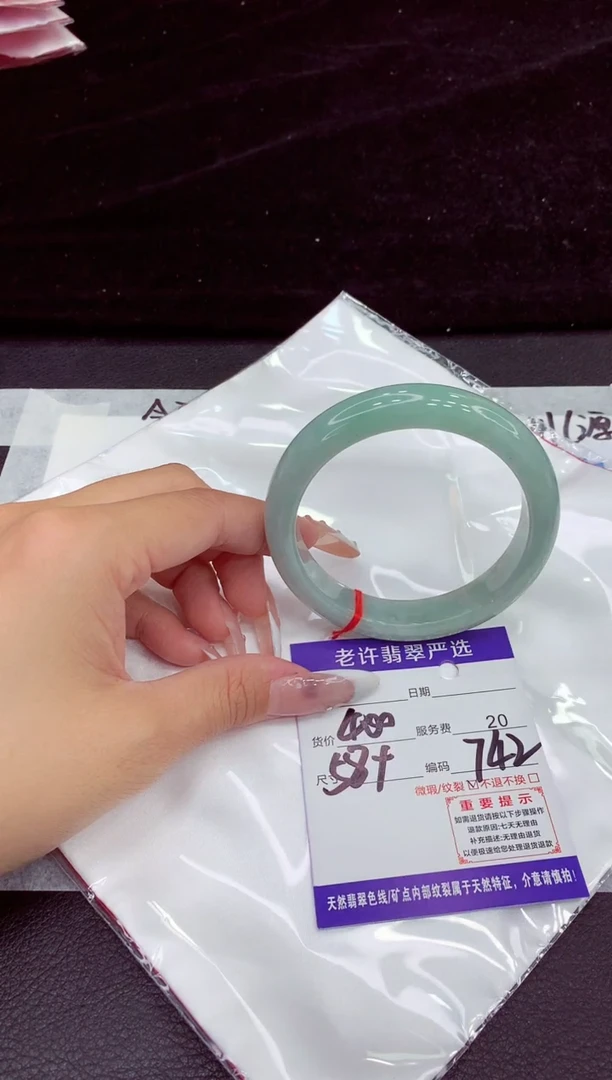 未镶嵌手镯翡翠1