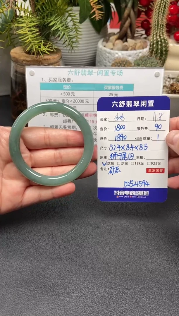 未镶嵌手镯翡翠少****人D2521594