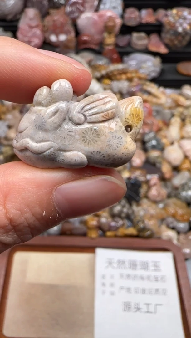 【闪购商品】硅化珊瑚（珊瑚玉）颈饰未镶嵌072