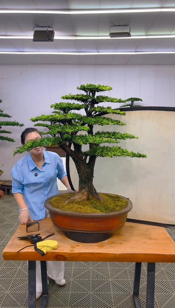 无花朵一物一拍一物一拍
