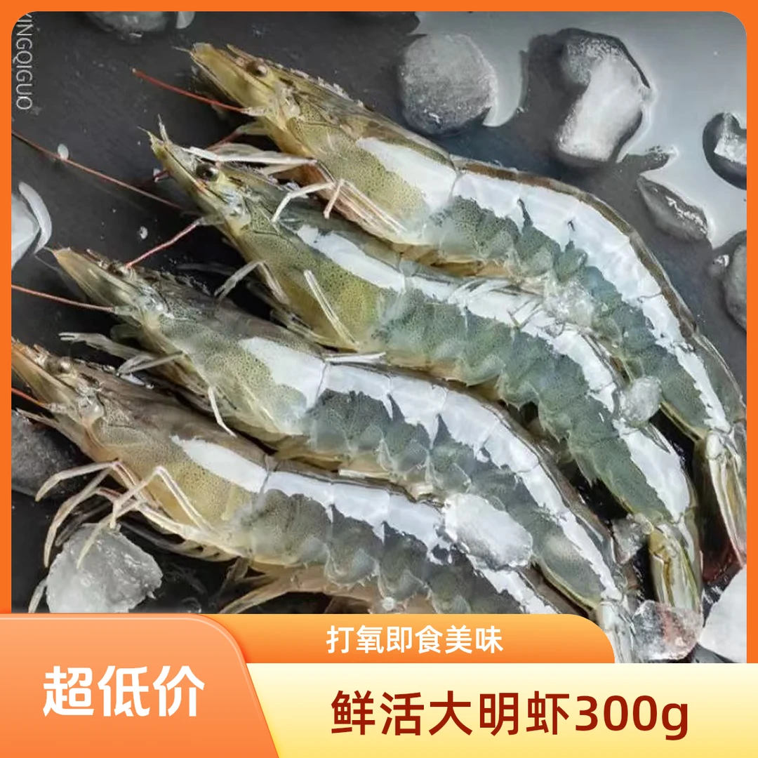 【鲜活打氧】大明虾 300g